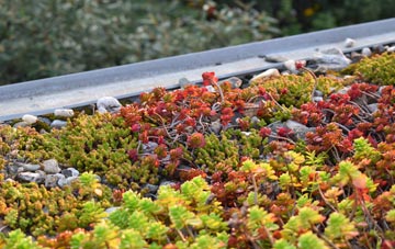 the cost of Burrswood green roof installation