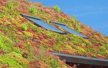 Burrswood living roof systems