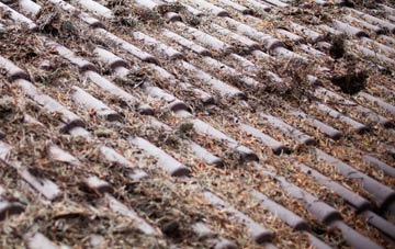 Burrswood roof cleaning companies